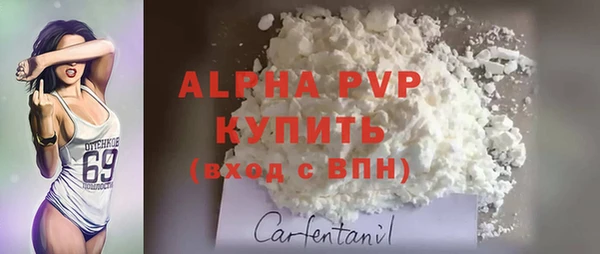 индика Куйбышев