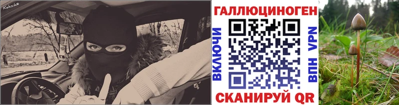 Галлюциногенные грибы Psilocybine cubensis  хочу   Остров 